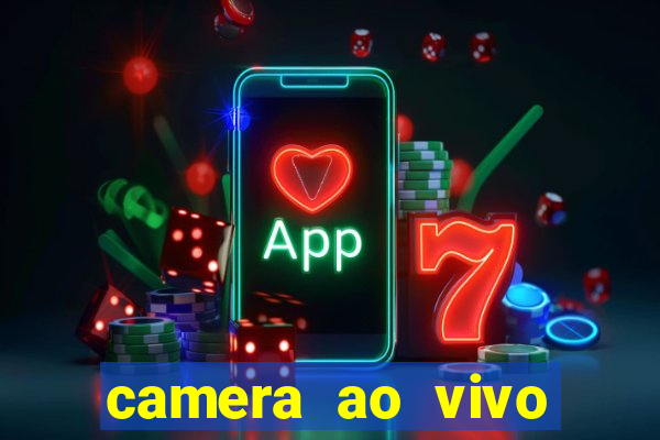 camera ao vivo terminal vila nova cachoeirinha