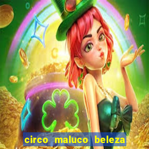 circo maluco beleza recife circo maluco