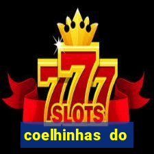 coelhinhas do brasil recife