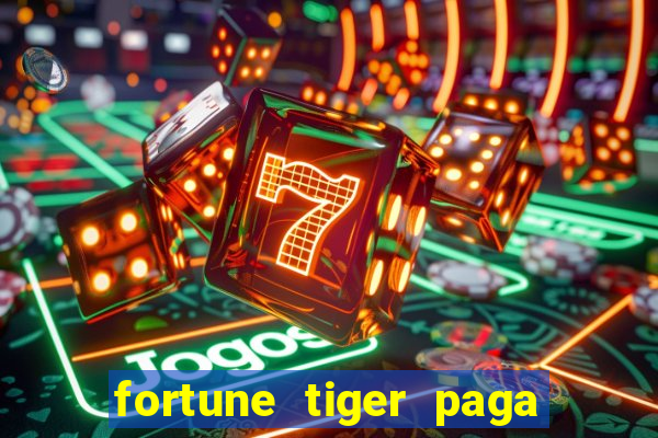 fortune tiger paga de madrugada