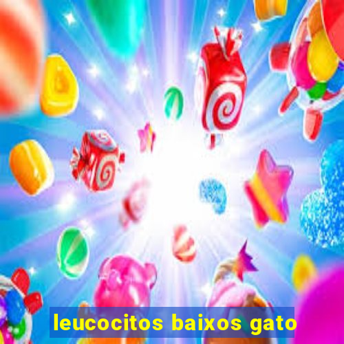 leucocitos baixos gato