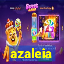 azaleia-br.com