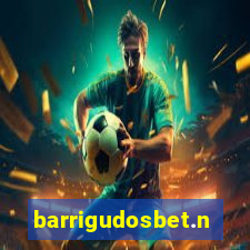 barrigudosbet.net