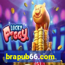 brapub66.com