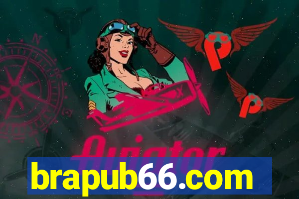 brapub66.com