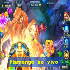 flamengo ao vivo multi canais