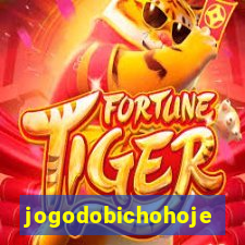 jogodobichohoje