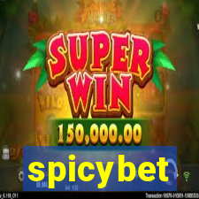 spicybet-3.com